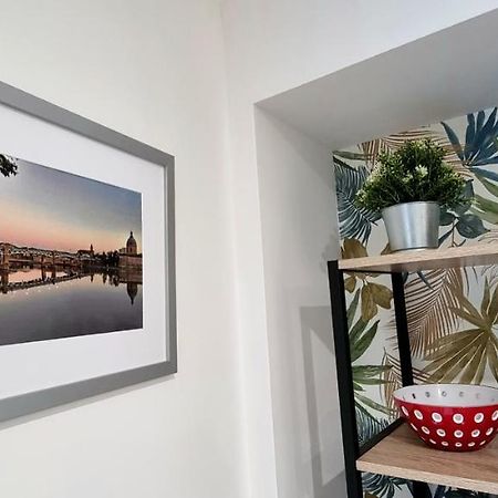 Studio Simone - Terrasse Et Jardin - Tv - Wifi Toulouse Dış mekan fotoğraf