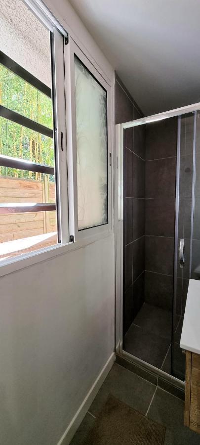 Studio Simone - Terrasse Et Jardin - Tv - Wifi Toulouse Dış mekan fotoğraf