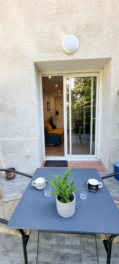 Studio Simone - Terrasse Et Jardin - Tv - Wifi Toulouse Dış mekan fotoğraf