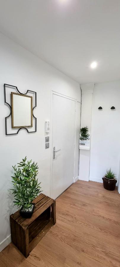 Studio Simone - Terrasse Et Jardin - Tv - Wifi Toulouse Dış mekan fotoğraf