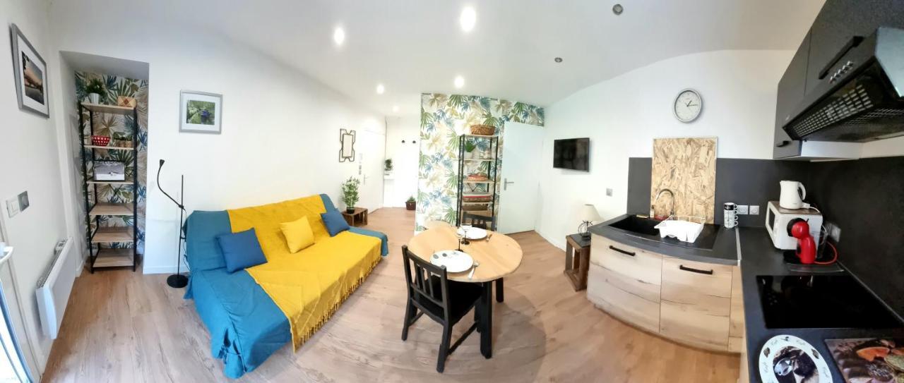 Studio Simone - Terrasse Et Jardin - Tv - Wifi Toulouse Dış mekan fotoğraf